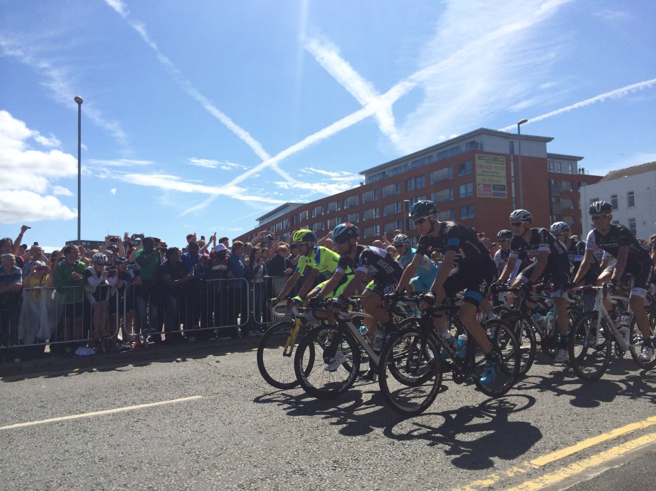 Nixon_2014-07-08-1-2