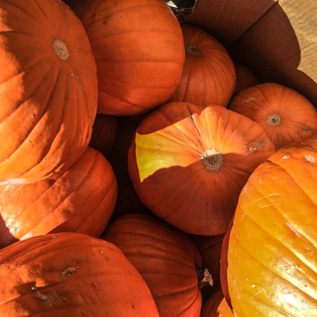 20141011-Nixon_2014-10-194