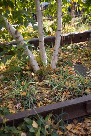 The High Line, New York City © J. Ashley Nixon Photography 