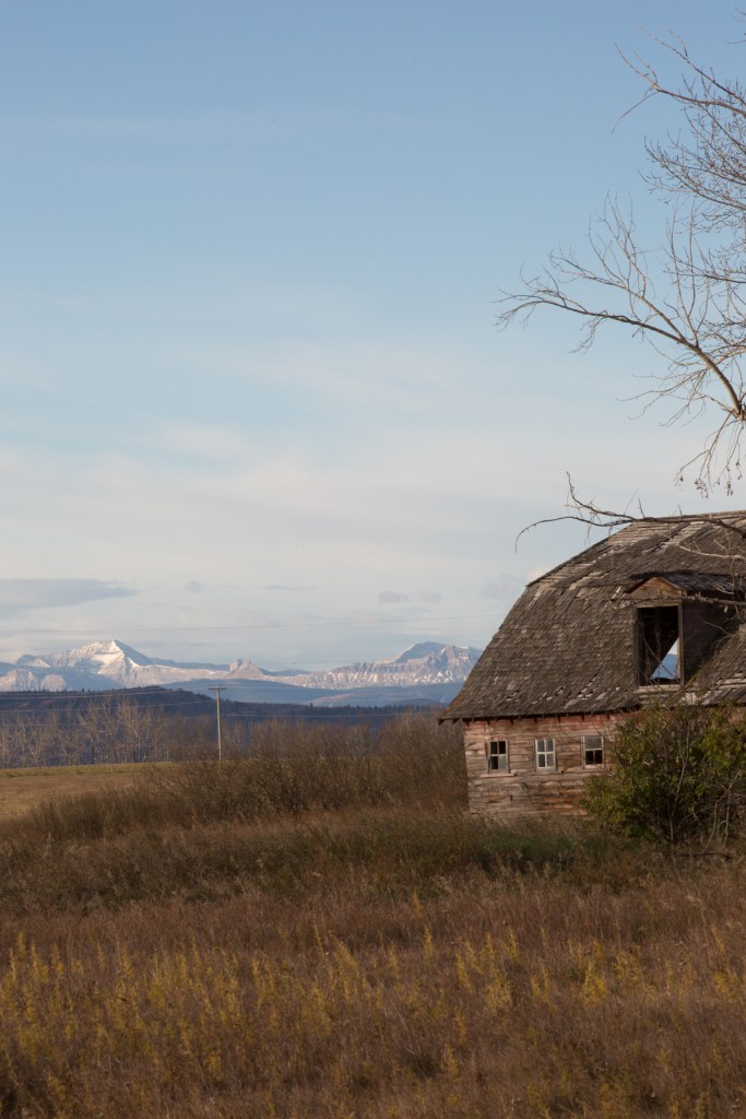 barn along Springbank © J. Ashley Nixon