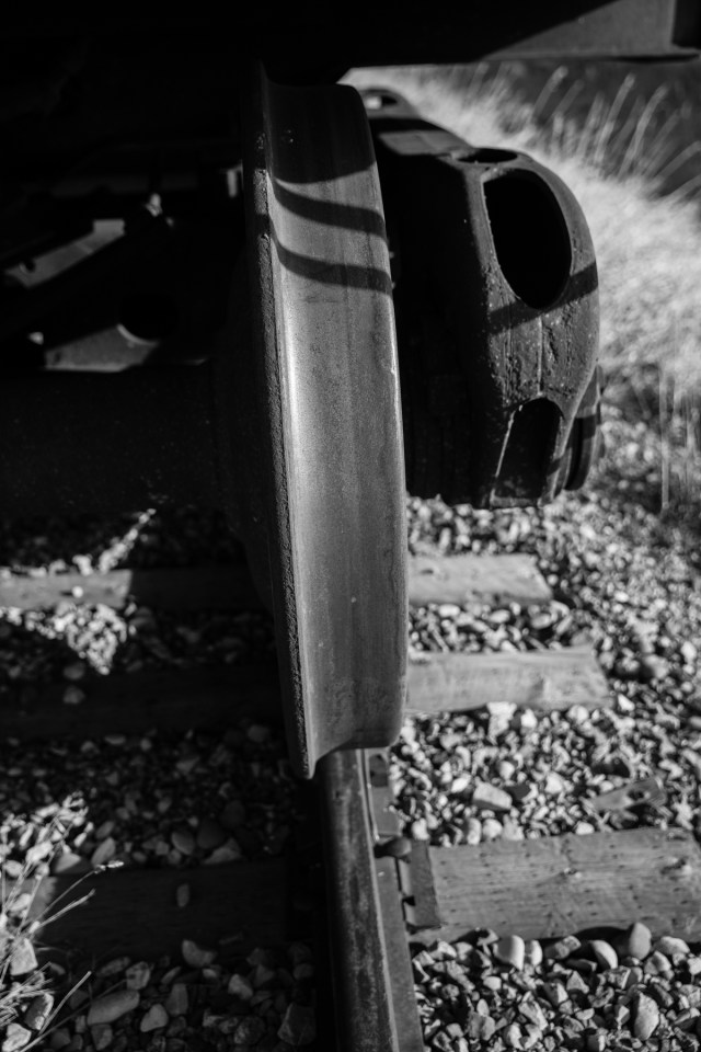Prairie train #2, Lethbridge County, Alberta © J. Ashley Nixon