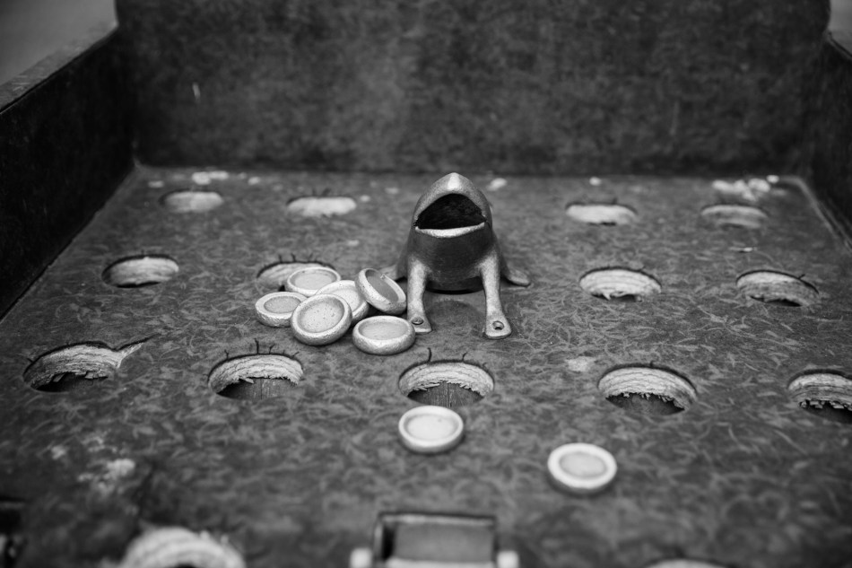 Sapo, Cienguilla, Peru 2015 © J. Ashley Nixon