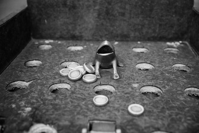 Sapo, Cienguilla, Peru 2015 © J. Ashley Nixon