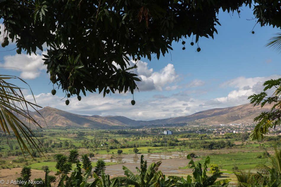 View across the rice fields in the Ara Valley, Jaén, Cajamarca, Peru. © J. Ashley Nixon