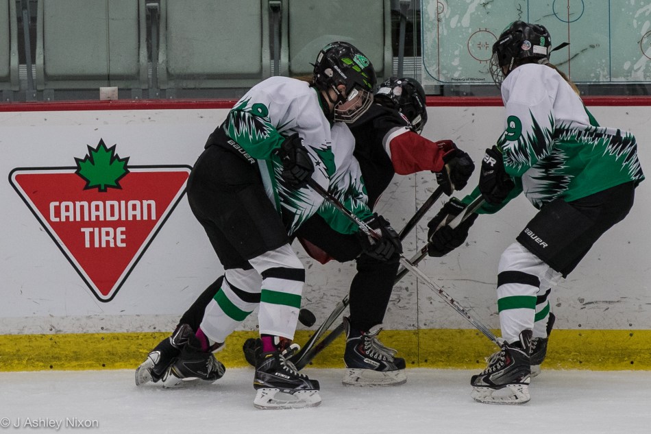 Action from the Bantam 1-B Final: Calgary Girls Hockey White Hawks versus Saskatoon Comet Impact at the Canadian Tire Wickenheiser World Female Hockey Festival, WinSport Arenas, Calgary, Canada © J. Ashley Nixon