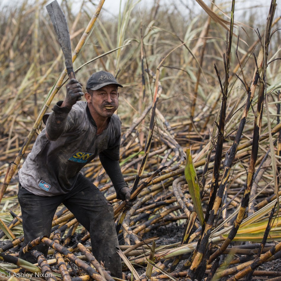 nixon_2016-08-19a-226_peru