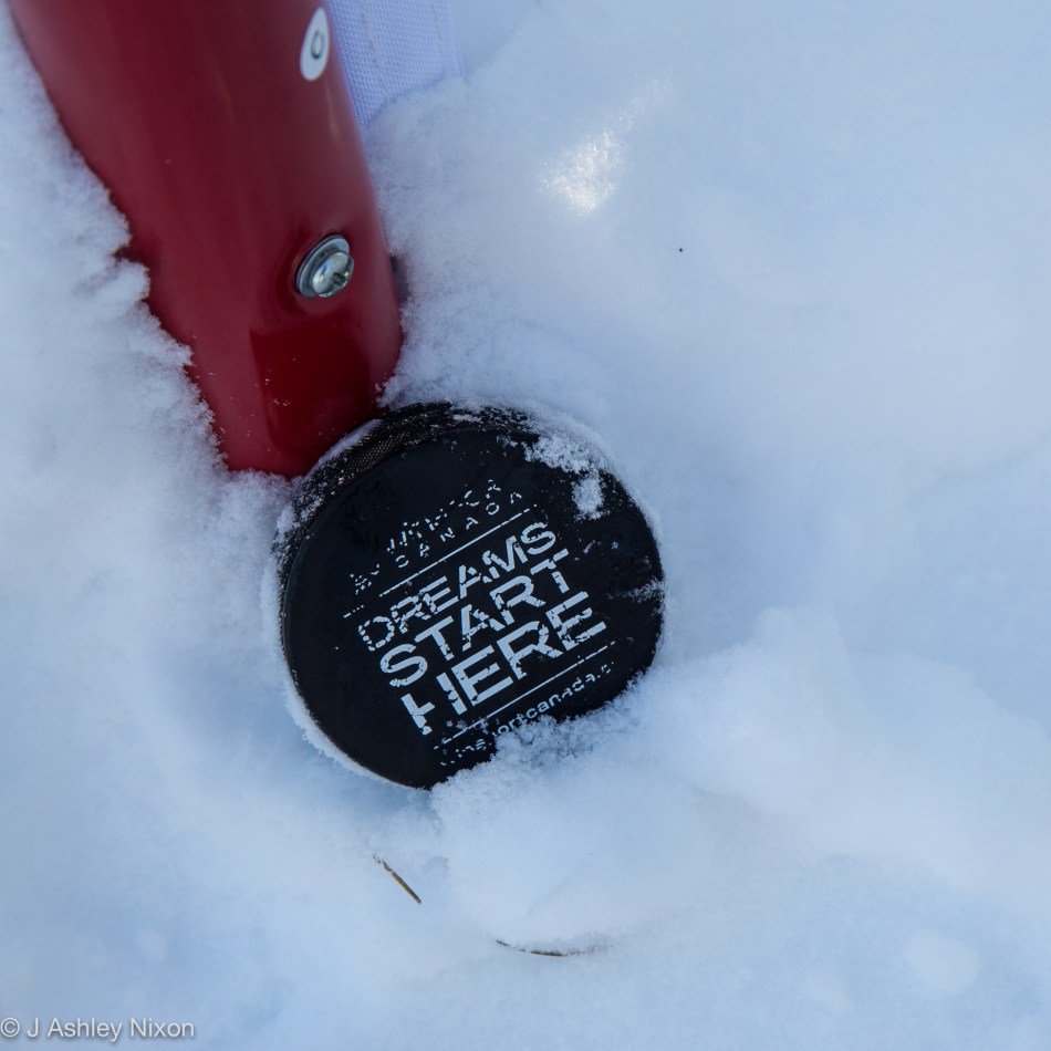 Puck and hockey net © J. Ashley Nixon