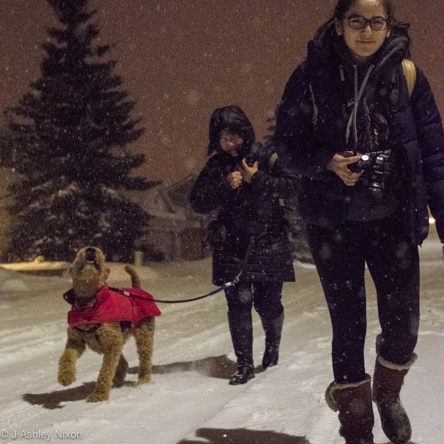 First walk around the block in Peruvian style to celebrate the 2017 New Year in Calgary, Canada. © J. Ashley Nixon